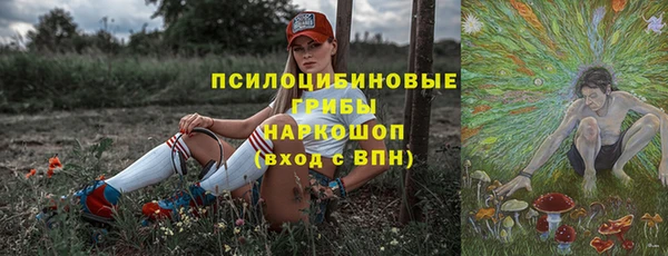 тгк Аркадак