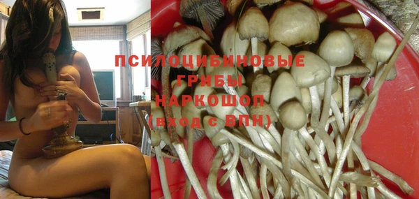 метамфетамин Сосновка